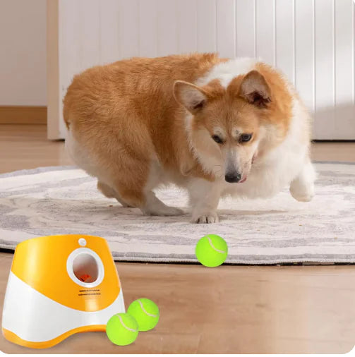 Pakko & Fufu – Smart Dog Ball Launcher – Automatic Fetch Machine