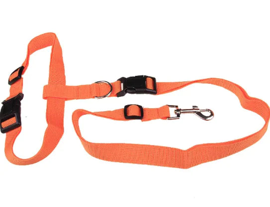 Pakko & Fufu – Adjustable Car Safety Belt for Pets