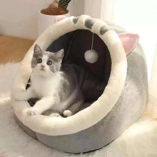 Pakko & Fufu - Cozy Villa Pet House-All Seasons