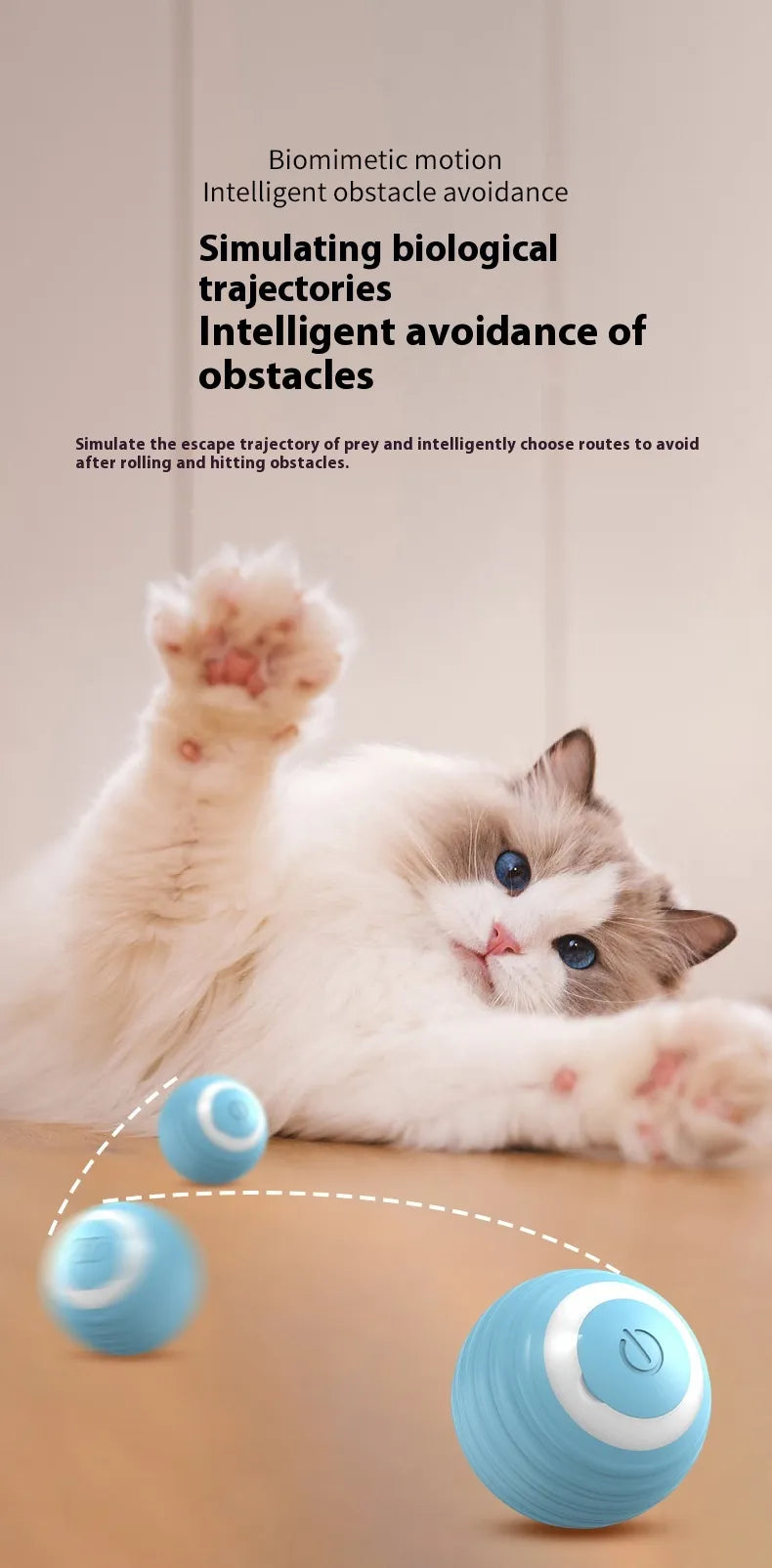 Pakko & Fufu - Smart Motion Dog Ball