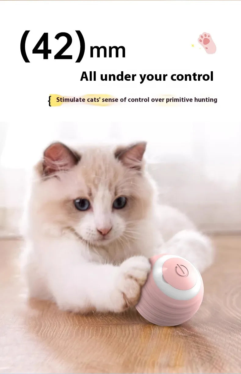 Pakko & Fufu - Smart Motion Dog Ball