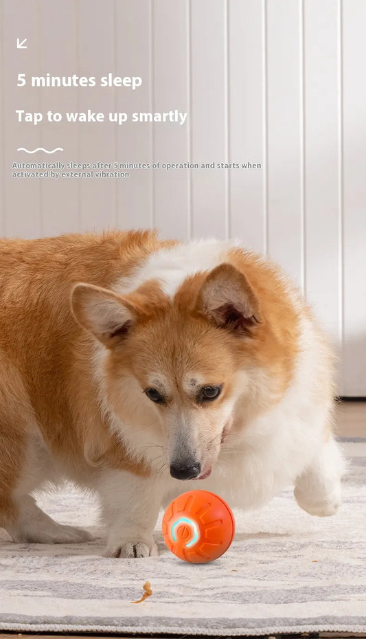 Pakko & Fufu - Smart Motion Dog Ball