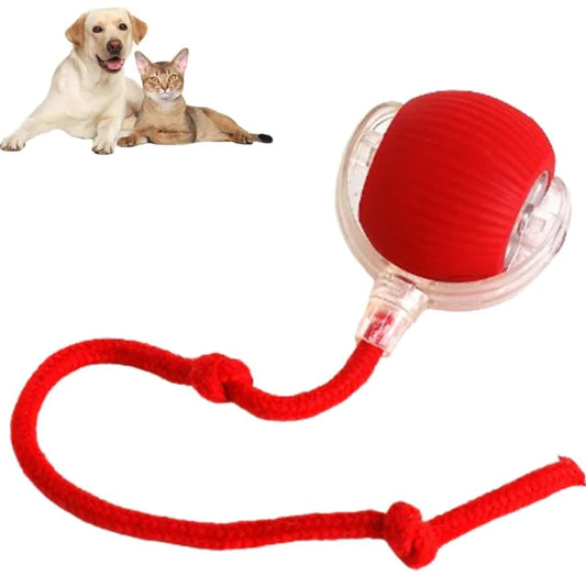 Pakko & Fufu – Smart Motion-Activated Ball for Pets