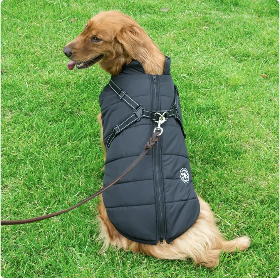 Pakko & Fufu – Warm & Waterproof Reflective Dog Coat