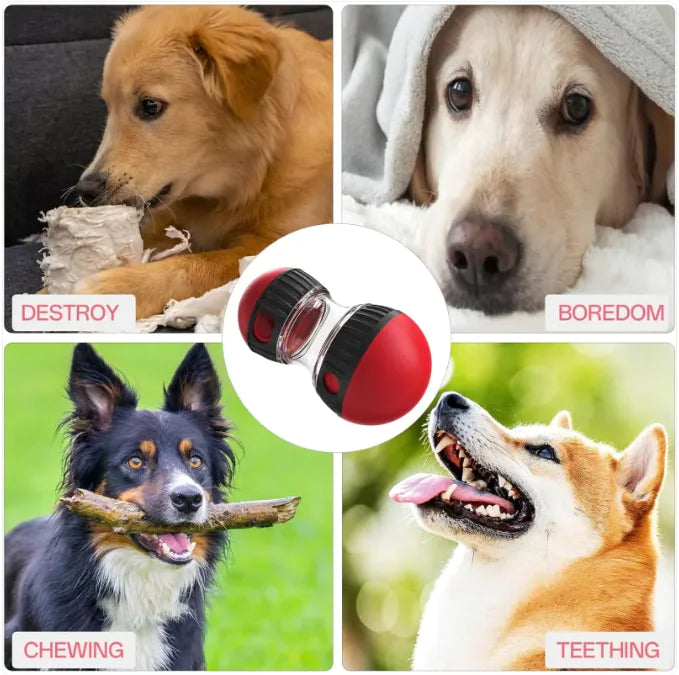 Pakko & Fufu - Dog Feeder Ball