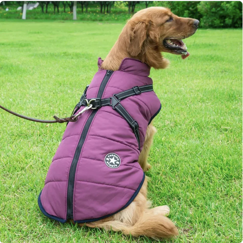 Pakko & Fufu – Warm & Waterproof Reflective Dog Coat