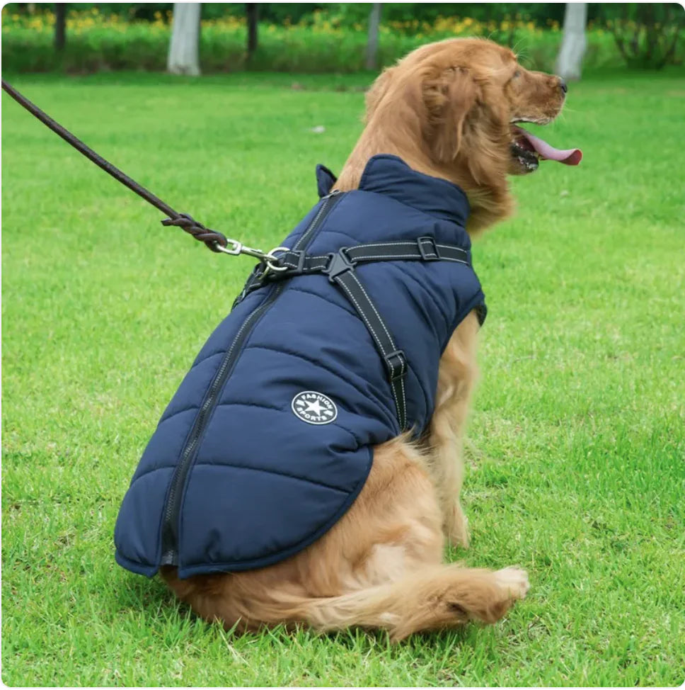 Pakko & Fufu – Warm & Waterproof Reflective Dog Coat