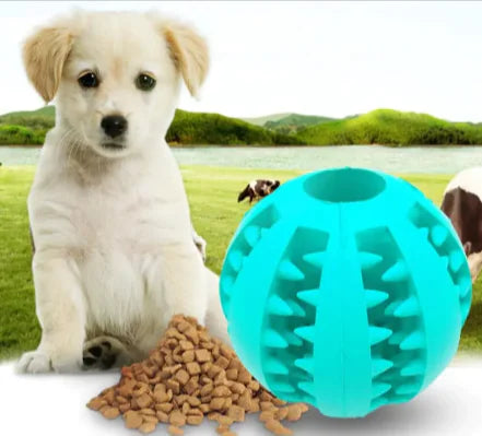 Pakko & Fufu Interactive Rubber Slow Feeder Dog Ball