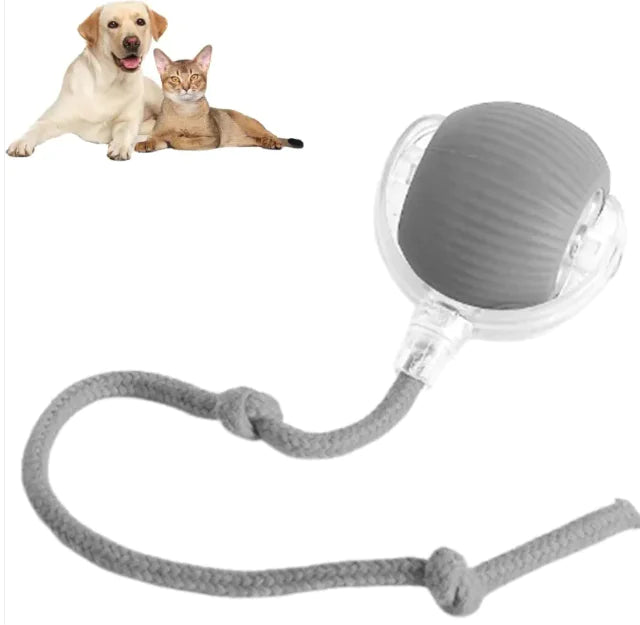 Pakko & Fufu – Smart Motion-Activated Ball for Pets