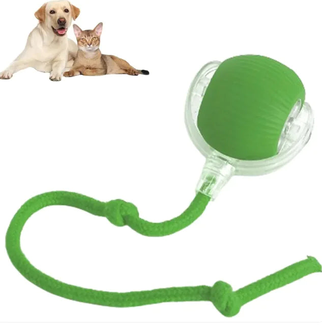 Pakko & Fufu – Smart Motion-Activated Ball for Pets