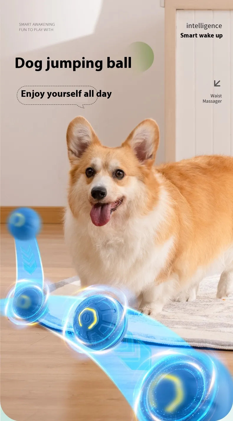 Pakko & Fufu - Smart Motion Dog Ball