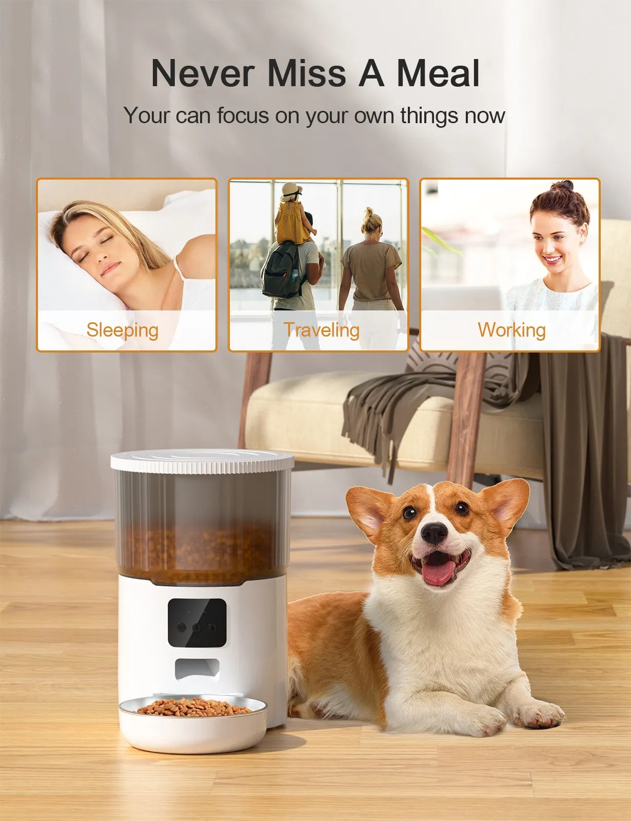 Pakko & Fufu – Smart Auto Pet Feeder (4L, WIFI and App-Controlled)