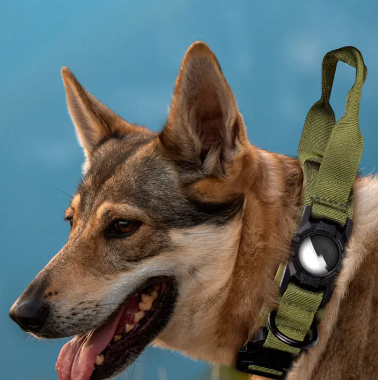 Pakko & Fufu – Safety traker Collar (AirTag Compatible)