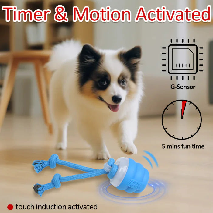 Pakko & Fufu - Smart Rolling Toy For Dogs