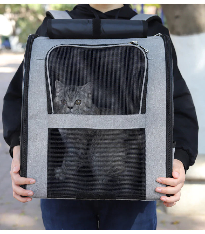 Pakko & Fufu- Foldable Pet Travel Carrier