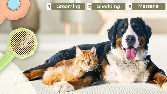 Pakko & Fufu  – Sunflower Grooming Brush for Pets