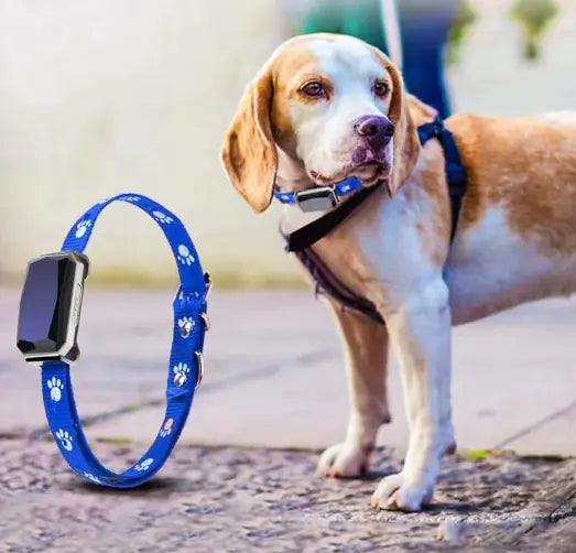 Pakko & Fufu  - Smart GPS Tracker Collar for Pets