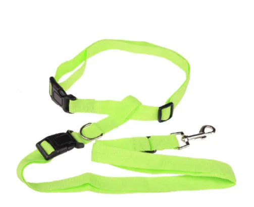 Pakko & Fufu  – Adjustable Car Safety Belt for Pets