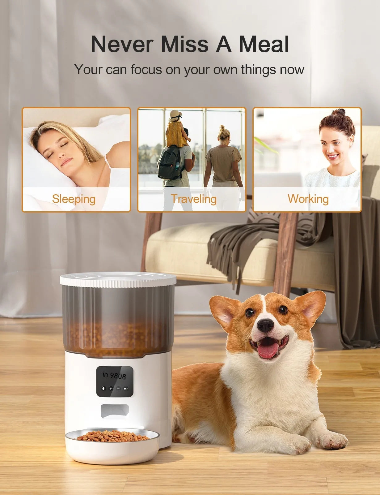 Pakko & Fufu – Smart Auto Pet Feeder (4L, WIFI and App-Controlled)