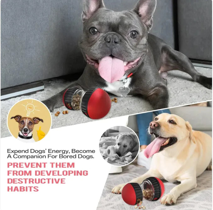 Pakko & Fufu - Dog Feeder Ball