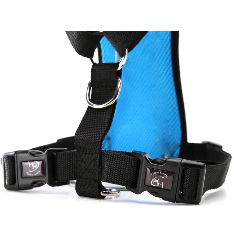 Pakko & Fufu  – Breathable Dog Car Harness with Seatbelt