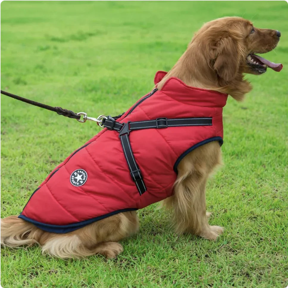 Pakko & Fufu – Warm & Waterproof Reflective Dog Coat