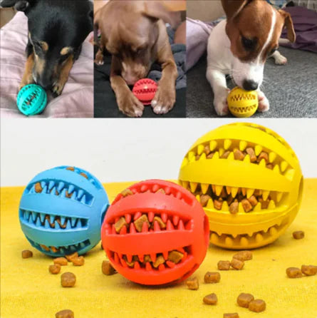 Pakko & Fufu Interactive Rubber Slow Feeder Dog Ball